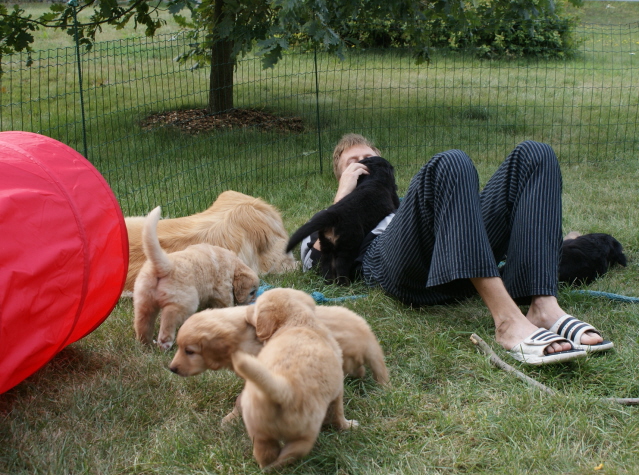 Johnny is enjoying the companionship of 5,5 week old puppies